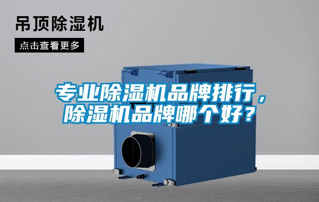 專業(yè)除濕機(jī)品牌排行，除濕機(jī)品牌哪個(gè)好？