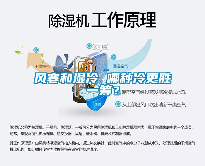風寒和濕冷 哪種冷更勝一籌？
