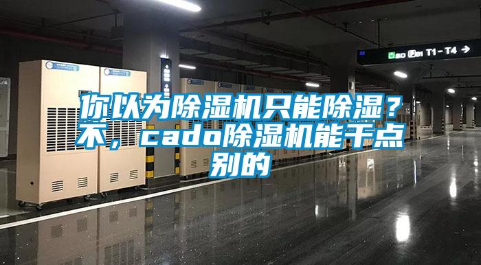 你以為除濕機只能除濕？不，cado除濕機能干點別的