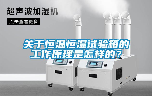 關(guān)于恒溫恒濕試驗箱的工作原理是怎樣的？