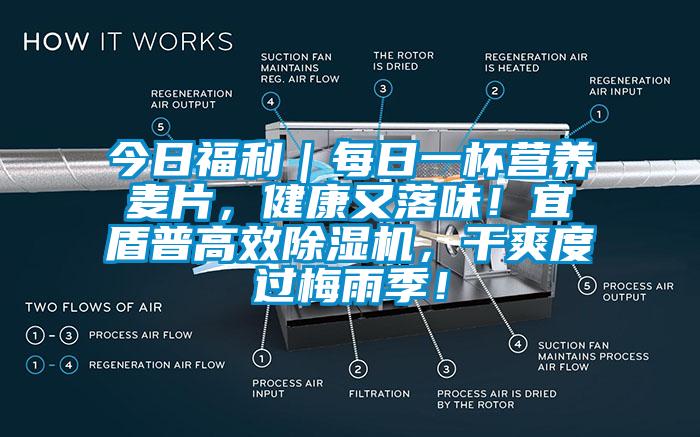 今日福利｜每日一杯營(yíng)養(yǎng)麥片，健康又落味！宜盾普高效除濕機(jī)，干爽度過(guò)梅雨季！