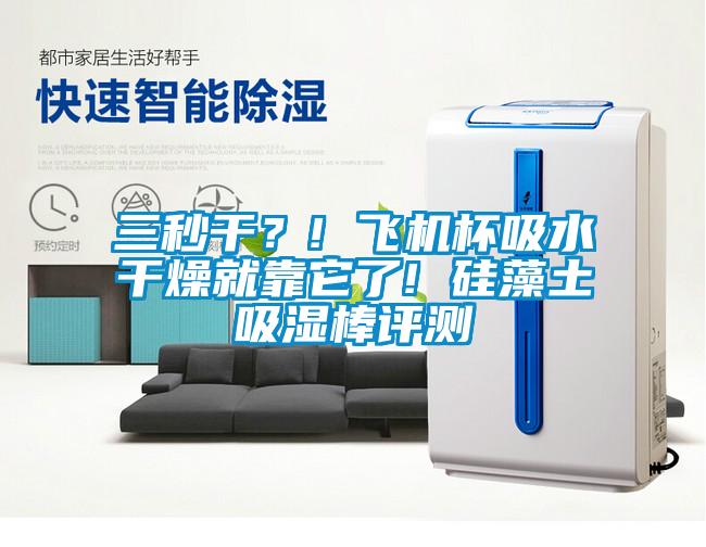 三秒干？! 飛機杯吸水干燥就靠它了! 硅藻土吸濕棒評測