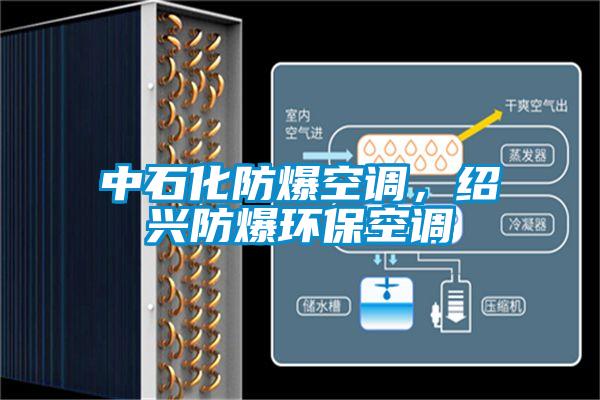 中石化防爆空調(diào)，紹興防爆環(huán)?？照{(diào)
