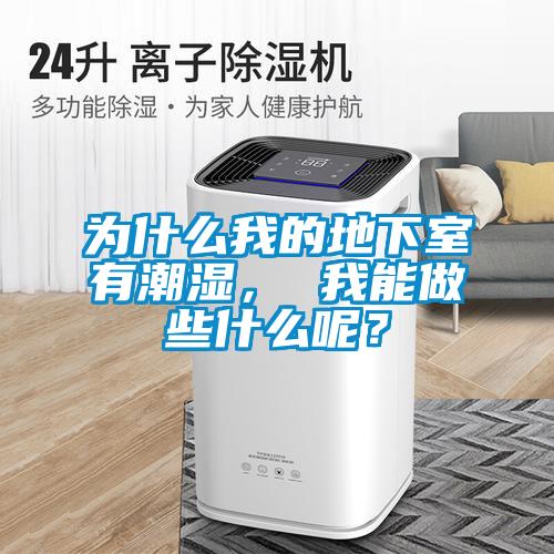 為什么我的地下室有潮濕， 我能做些什么呢？