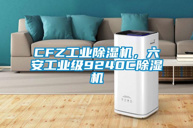 CFZ工業(yè)除濕機，六安工業(yè)級9240C除濕機