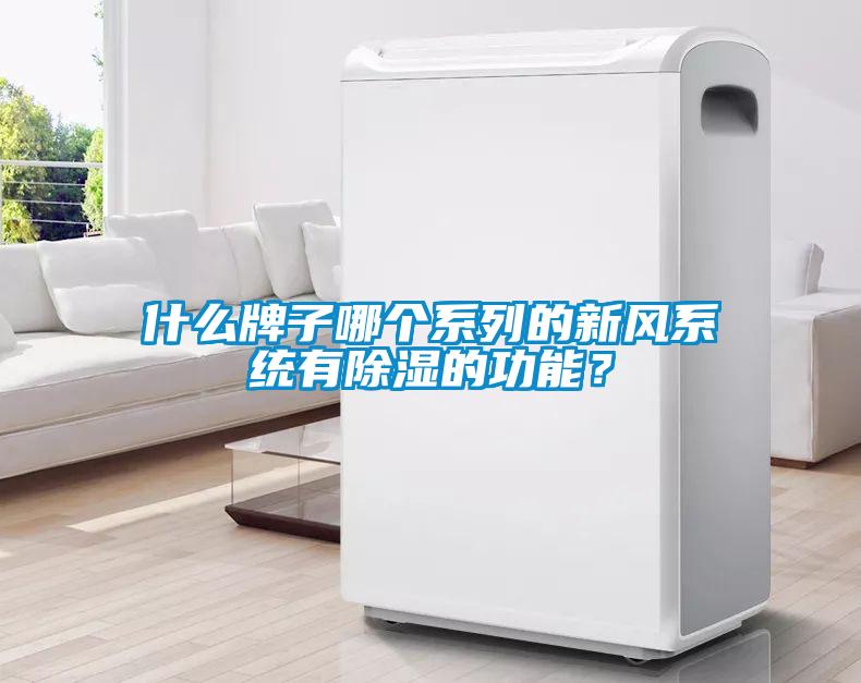 什么牌子哪個(gè)系列的新風(fēng)系統(tǒng)有除濕的功能？