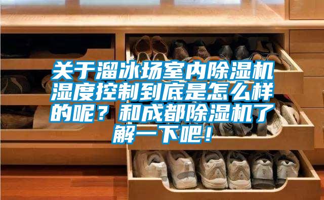 關(guān)于溜冰場(chǎng)室內(nèi)除濕機(jī)濕度控制到底是怎么樣的呢？和成都除濕機(jī)了解一下吧！