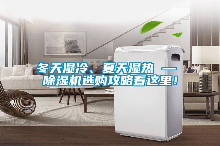 冬天濕冷、夏天濕熱 — 除濕機選購攻略看這里！