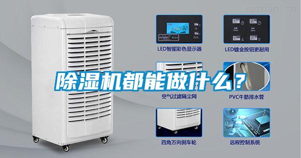 除濕機都能做什么？