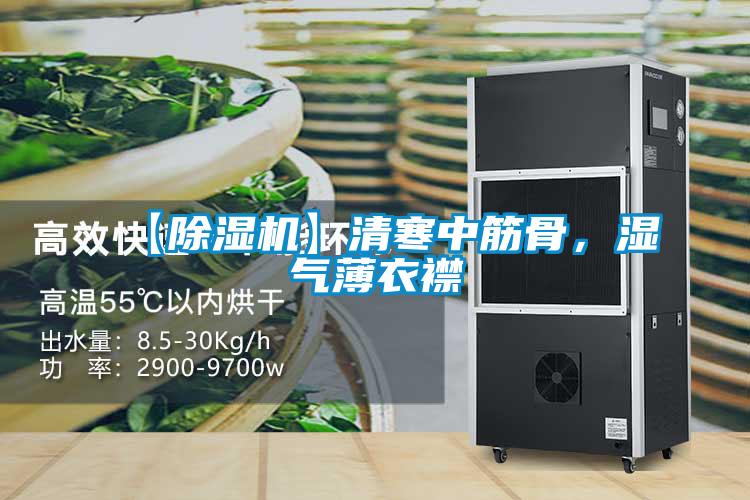 【除濕機】清寒中筋骨，濕氣薄衣襟