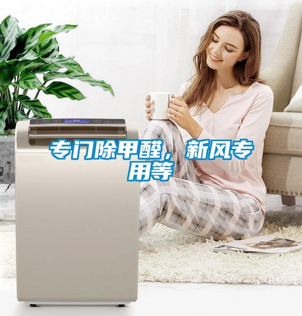 專門除甲醛，新風(fēng)專用等