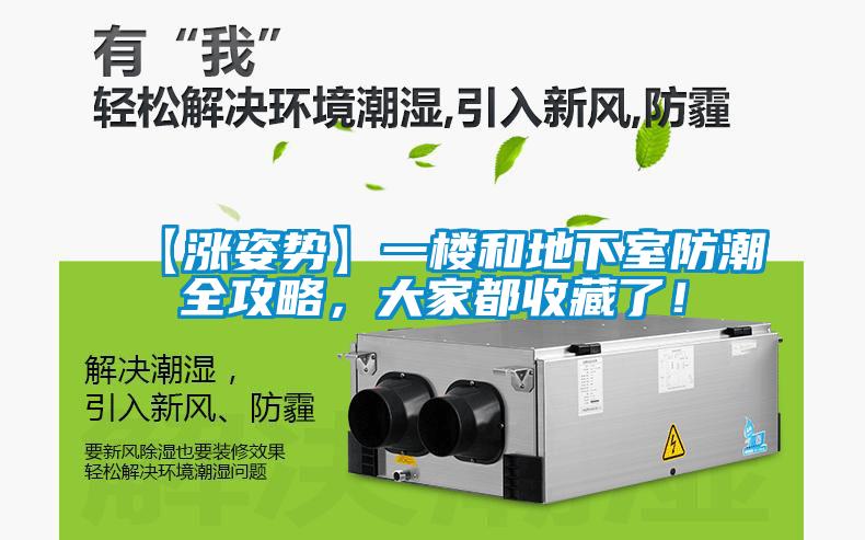 【漲姿勢(shì)】一樓和地下室防潮全攻略，大家都收藏了！