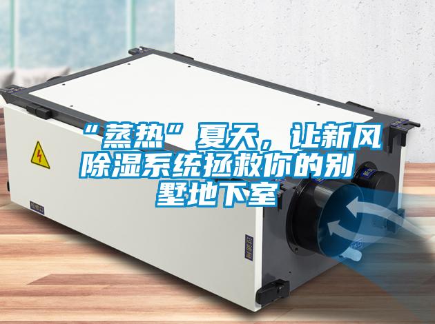 “蒸熱”夏天，讓新風(fēng)除濕系統(tǒng)拯救你的別墅地下室