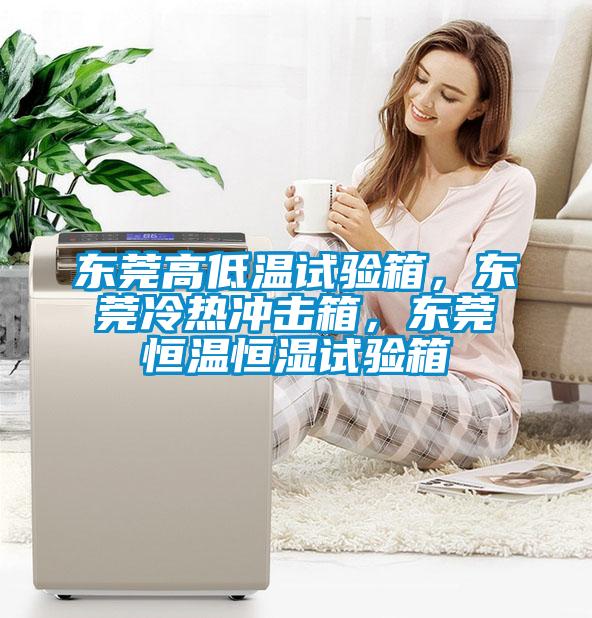 東莞高低溫試驗(yàn)箱，東莞冷熱沖擊箱，東莞恒溫恒濕試驗(yàn)箱