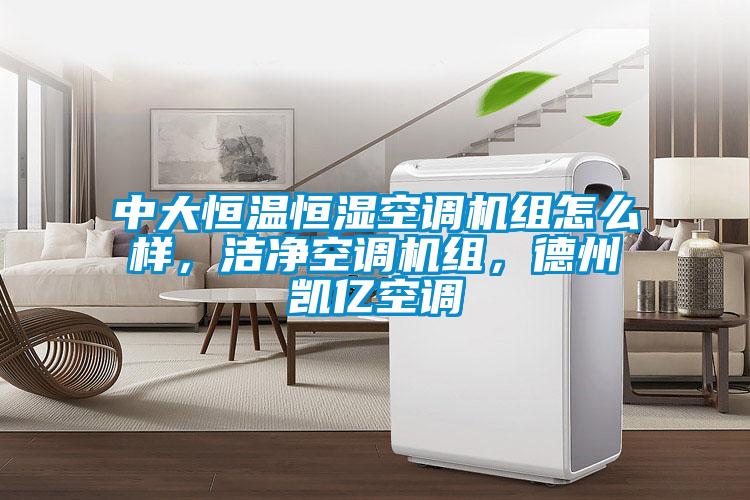 中大恒溫恒濕空調(diào)機(jī)組怎么樣，潔凈空調(diào)機(jī)組，德州凱億空調(diào)