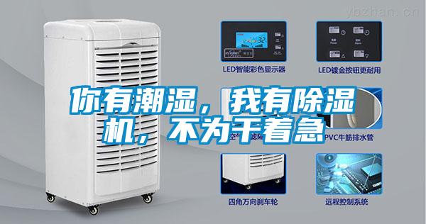 你有潮濕，我有除濕機(jī)，不為干著急