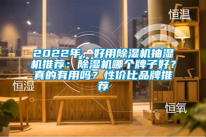 2022年，好用除濕機(jī)抽濕機(jī)推薦：除濕機(jī)哪個(gè)牌子好？真的有用嗎？性?xún)r(jià)比品牌推薦