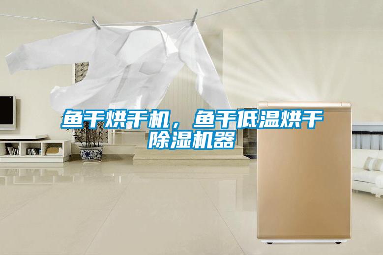 魚(yú)干烘干機(jī)，魚(yú)干低溫烘干除濕機(jī)器