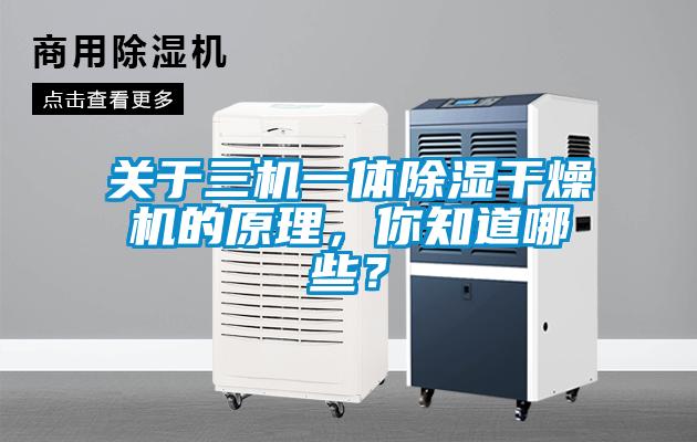 關(guān)于三機一體除濕干燥機的原理，你知道哪些？