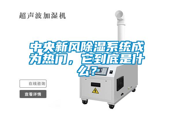 中央新風(fēng)除濕系統(tǒng)成為熱門，它到底是什么？