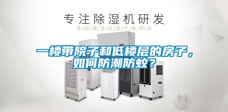 一樓帶院子和低樓層的房子，如何防潮防蚊？