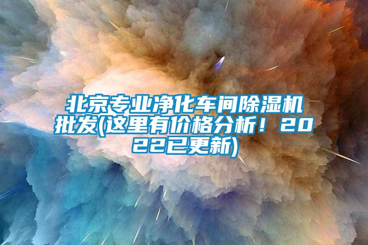 北京專(zhuān)業(yè)凈化車(chē)間除濕機(jī)批發(fā)(這里有價(jià)格分析！2022已更新)