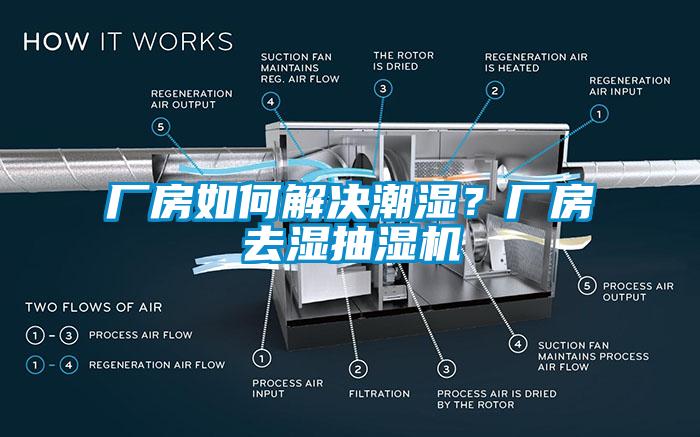 廠房如何解決潮濕？廠房去濕抽濕機