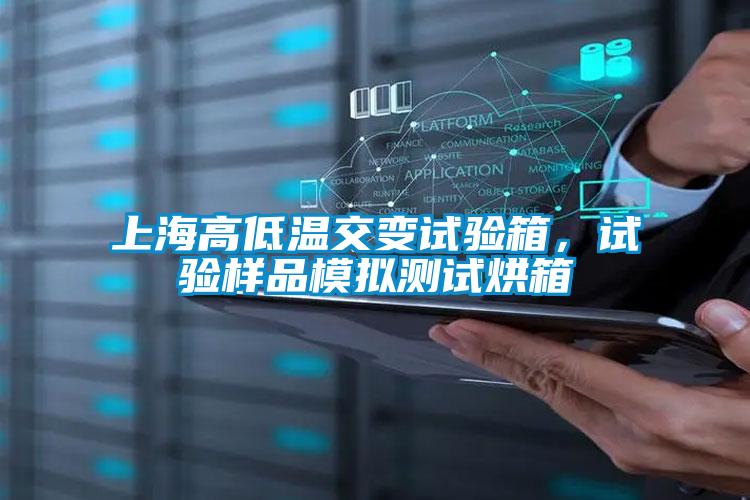 上海高低溫交變?cè)囼?yàn)箱，試驗(yàn)樣品模擬測(cè)試烘箱