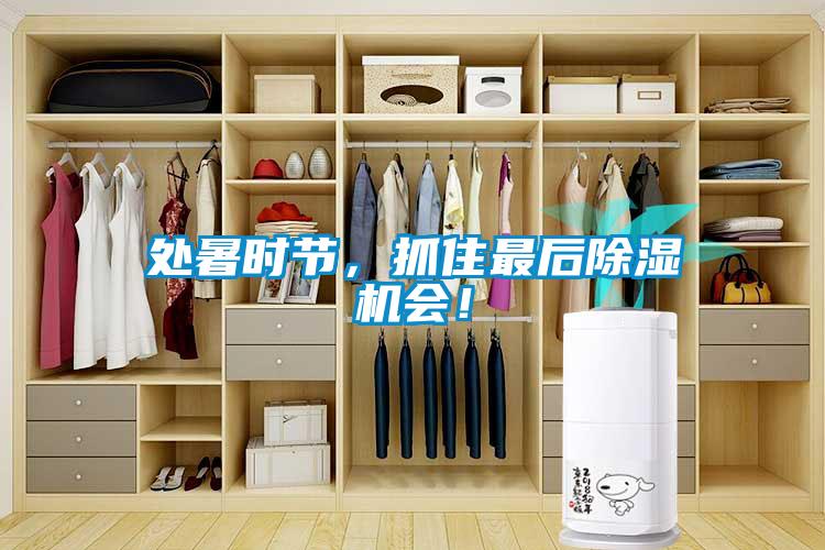 處暑時節(jié)，抓住最后除濕機會！
