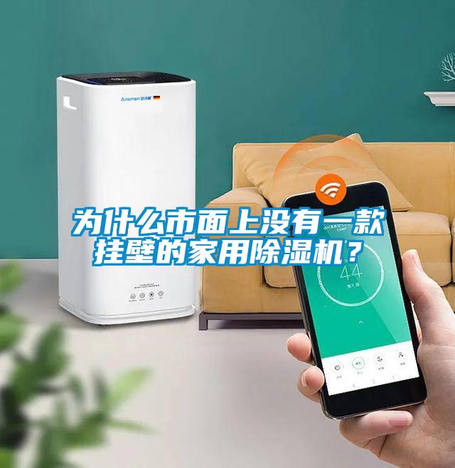 為什么市面上沒有一款掛壁的家用除濕機(jī)？