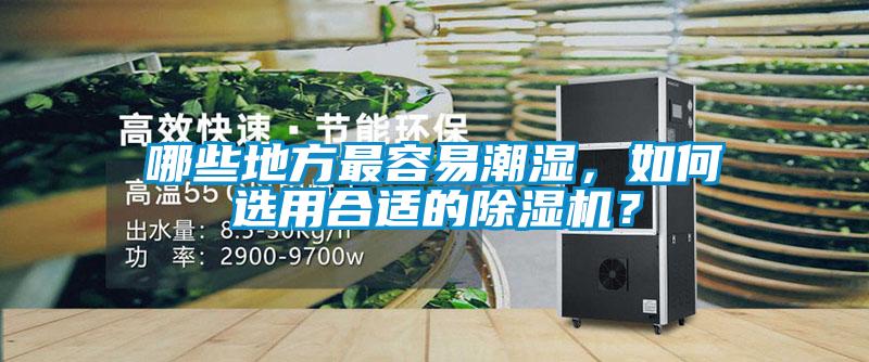 哪些地方最容易潮濕，如何選用合適的除濕機(jī)？
