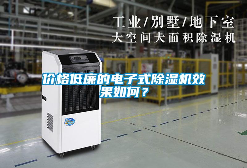 價格低廉的電子式除濕機效果如何？