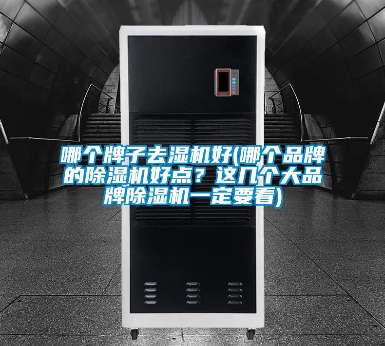 哪個(gè)牌子去濕機(jī)好(哪個(gè)品牌的除濕機(jī)好點(diǎn)？這幾個(gè)大品牌除濕機(jī)一定要看)