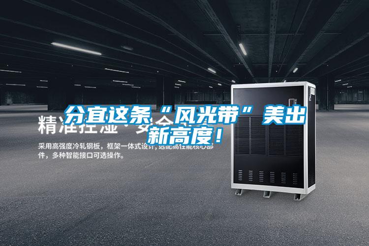 分宜這條“風(fēng)光帶”美出新高度！