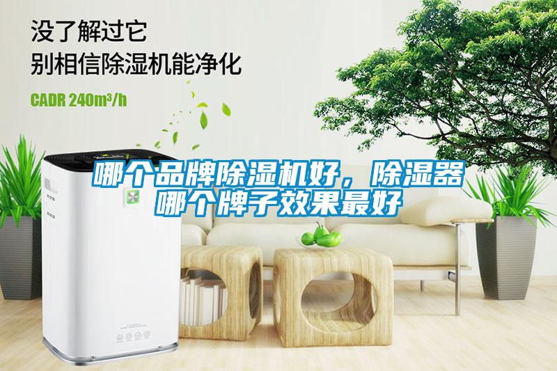 哪個(gè)品牌除濕機(jī)好，除濕器哪個(gè)牌子效果最好