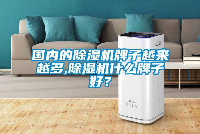 國內(nèi)的除濕機(jī)牌子越來越多,除濕機(jī)什么牌子好？
