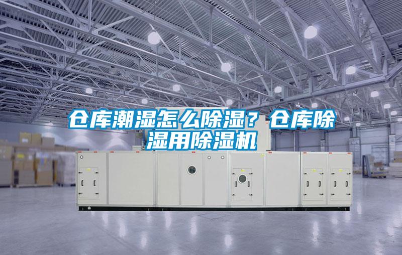倉(cāng)庫(kù)潮濕怎么除濕？倉(cāng)庫(kù)除濕用除濕機(jī)