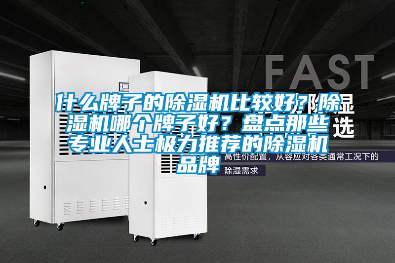 什么牌子的除濕機(jī)比較好？除濕機(jī)哪個(gè)牌子好？盤(pán)點(diǎn)那些專(zhuān)業(yè)人士極力推薦的除濕機(jī)品牌