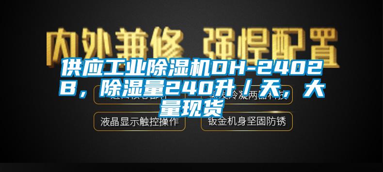 供應(yīng)工業(yè)除濕機DH-2402B，除濕量240升／天，大量現(xiàn)貨