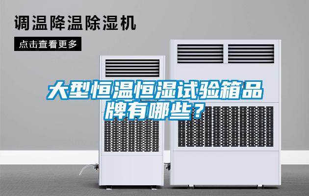 大型恒溫恒濕試驗箱品牌有哪些？