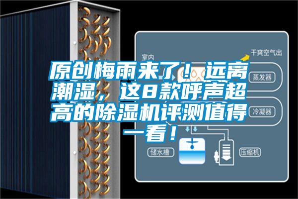原創(chuàng)梅雨來了！遠離潮濕，這8款呼聲超高的除濕機評測值得一看！