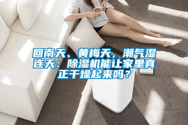回南天、黃梅天，潮氣濕連天：除濕機能讓家里真正干燥起來嗎？