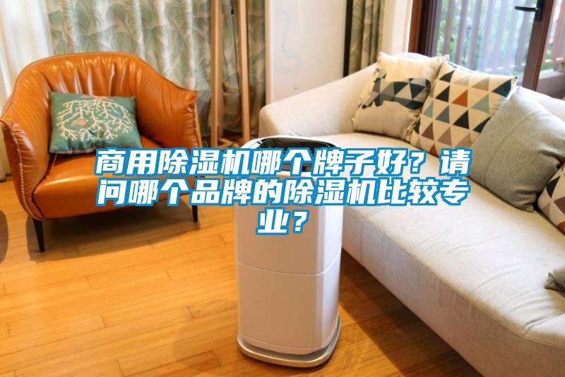 商用除濕機(jī)哪個(gè)牌子好？請(qǐng)問(wèn)哪個(gè)品牌的除濕機(jī)比較專業(yè)？