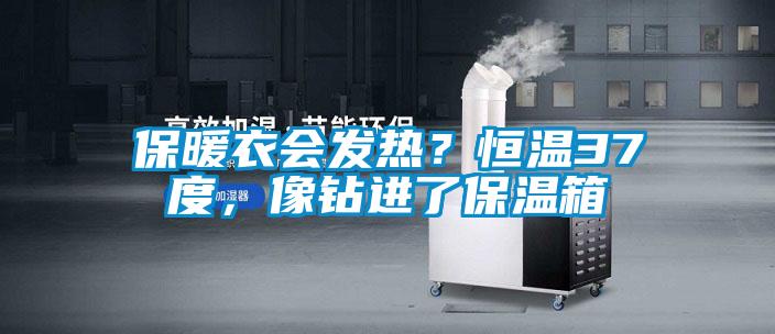 保暖衣會發(fā)熱？恒溫37度，像鉆進(jìn)了保溫箱