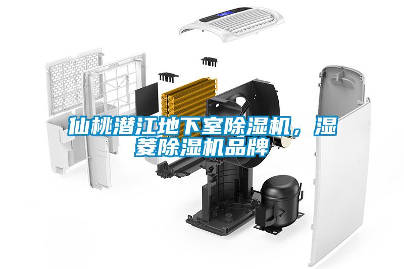 仙桃潛江地下室除濕機(jī)，濕菱除濕機(jī)品牌