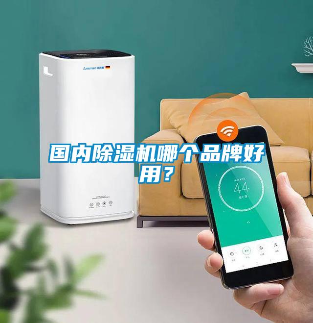 國內(nèi)除濕機(jī)哪個(gè)品牌好用？