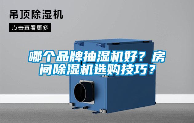 哪個品牌抽濕機好？房間除濕機選購技巧？