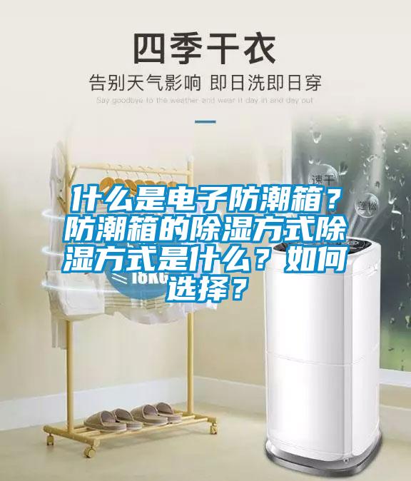 什么是電子防潮箱？防潮箱的除濕方式除濕方式是什么？如何選擇？