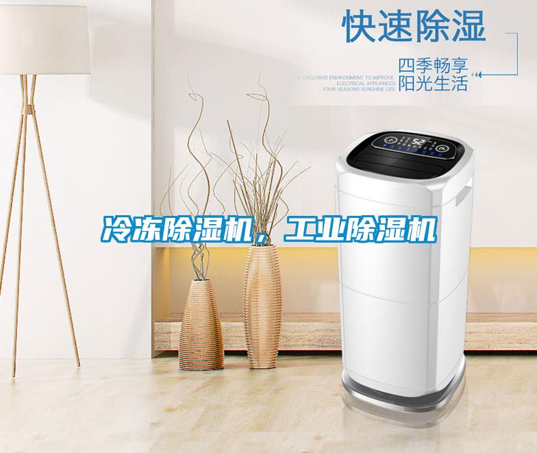 冷凍除濕機(jī)，工業(yè)除濕機(jī)