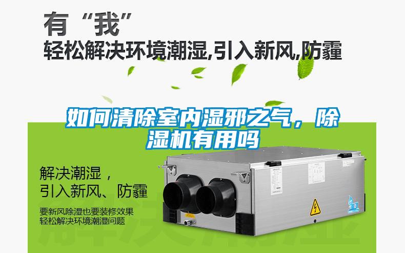 如何清除室內(nèi)濕邪之氣，除濕機(jī)有用嗎